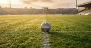 How to bet on sports in New Zealand: costs, margins, the law