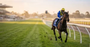 Melbourne Cup betting in New Zealand 2026 — offers, odds, where to bet