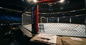 MMA betting in New Zealand 2026 — costs, law and the bookmakers